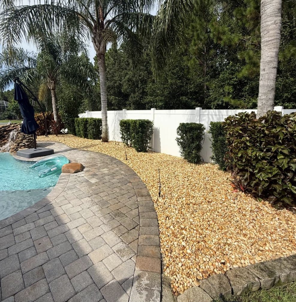 After: trimmed and refreshed poolside landscaping