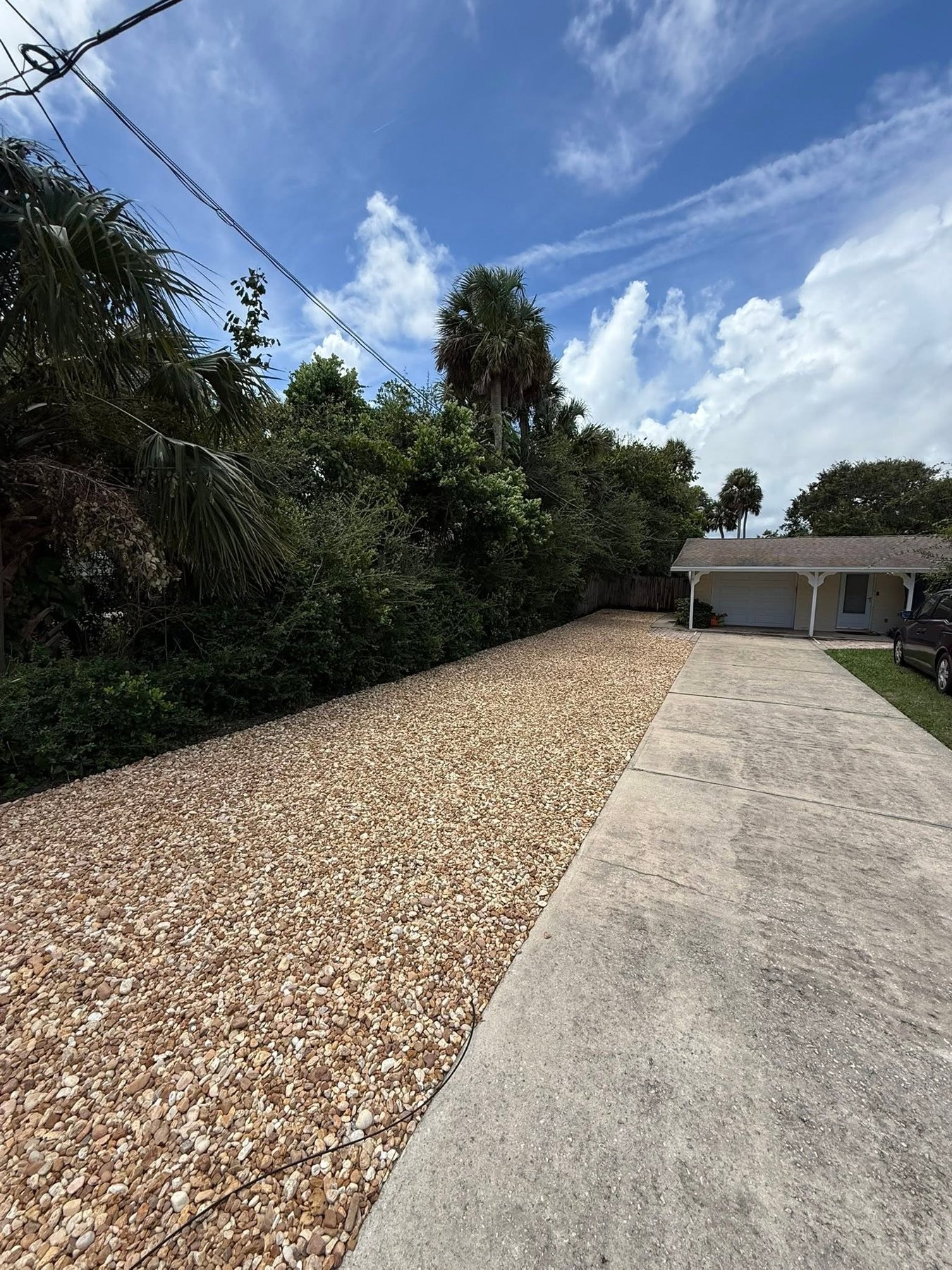 After: cleared and reclaimed side yard