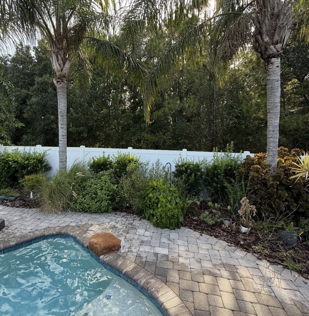 Before: overgrown poolside landscaping