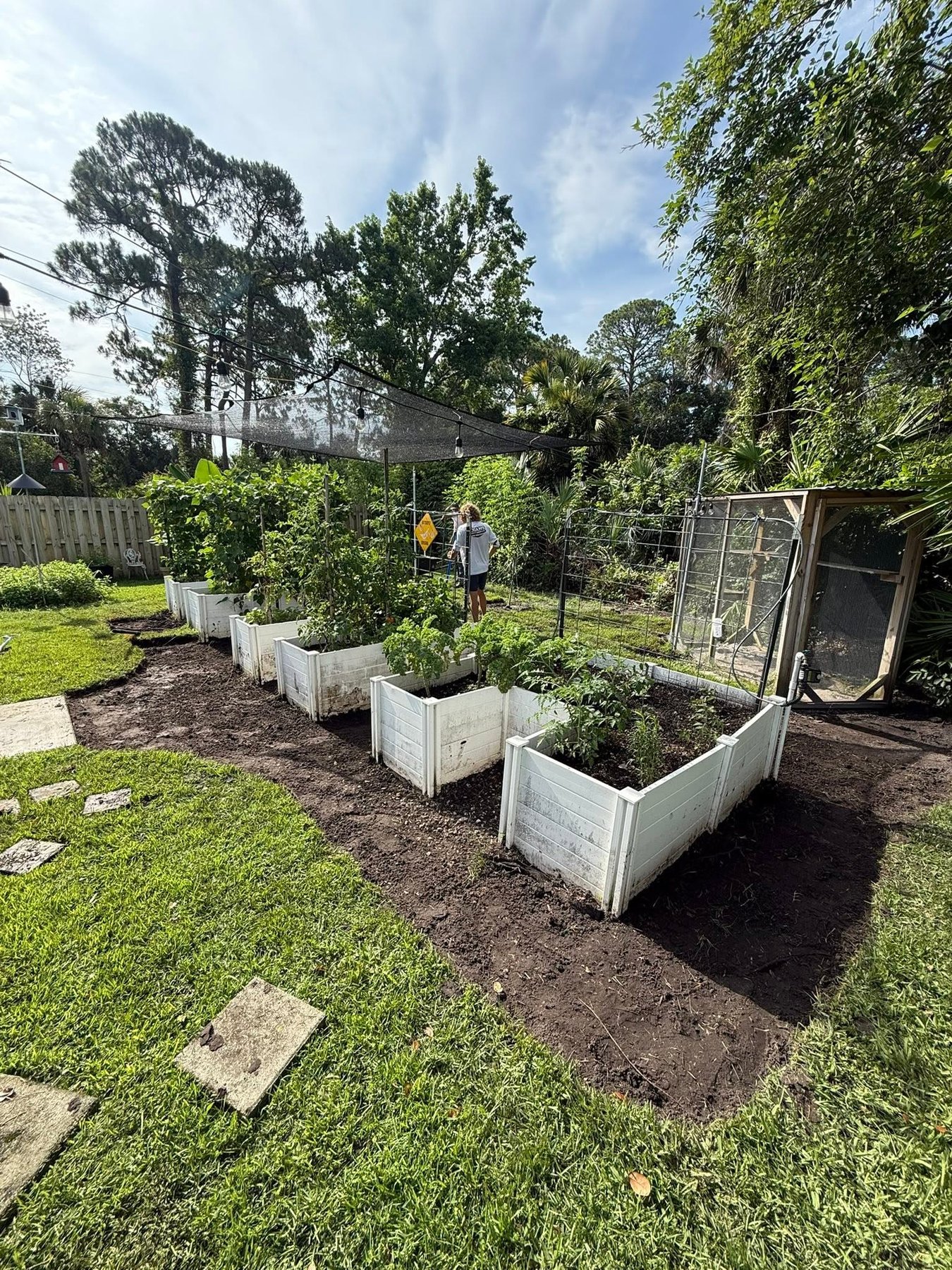 Before: unkempt overgrown landscape beds