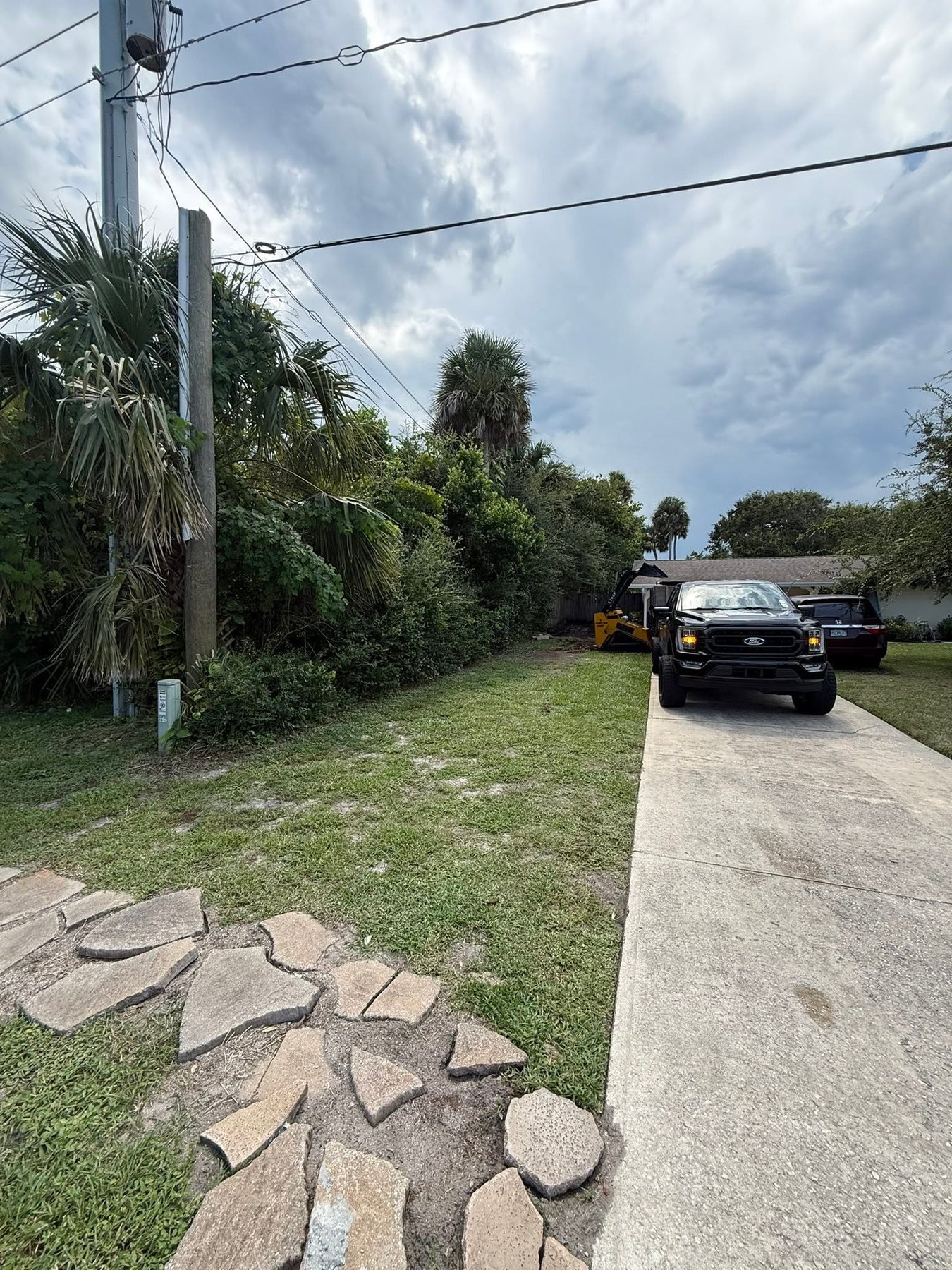 Before: overgrown side yard