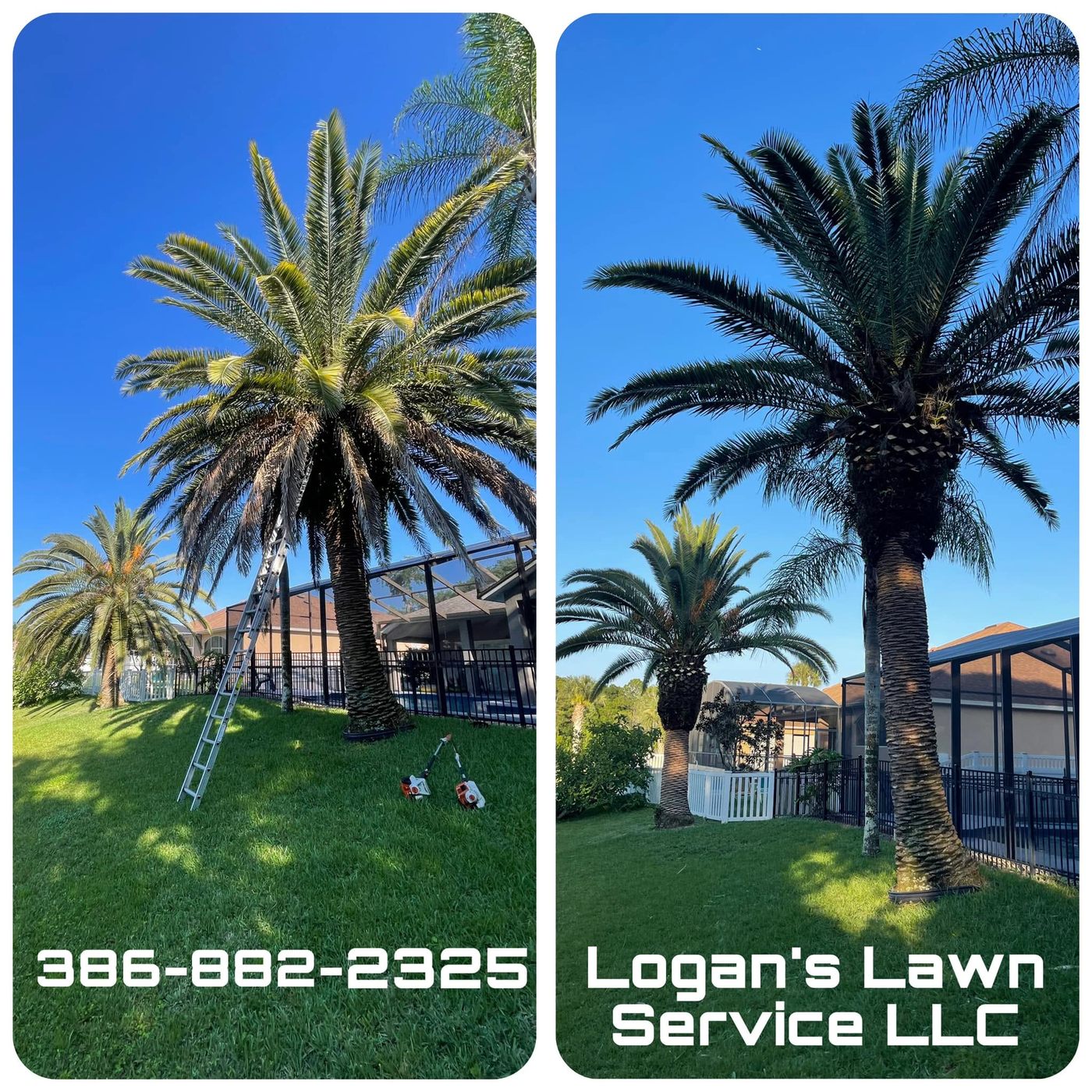 Landscaped commercial entrance with mulch beds and palms