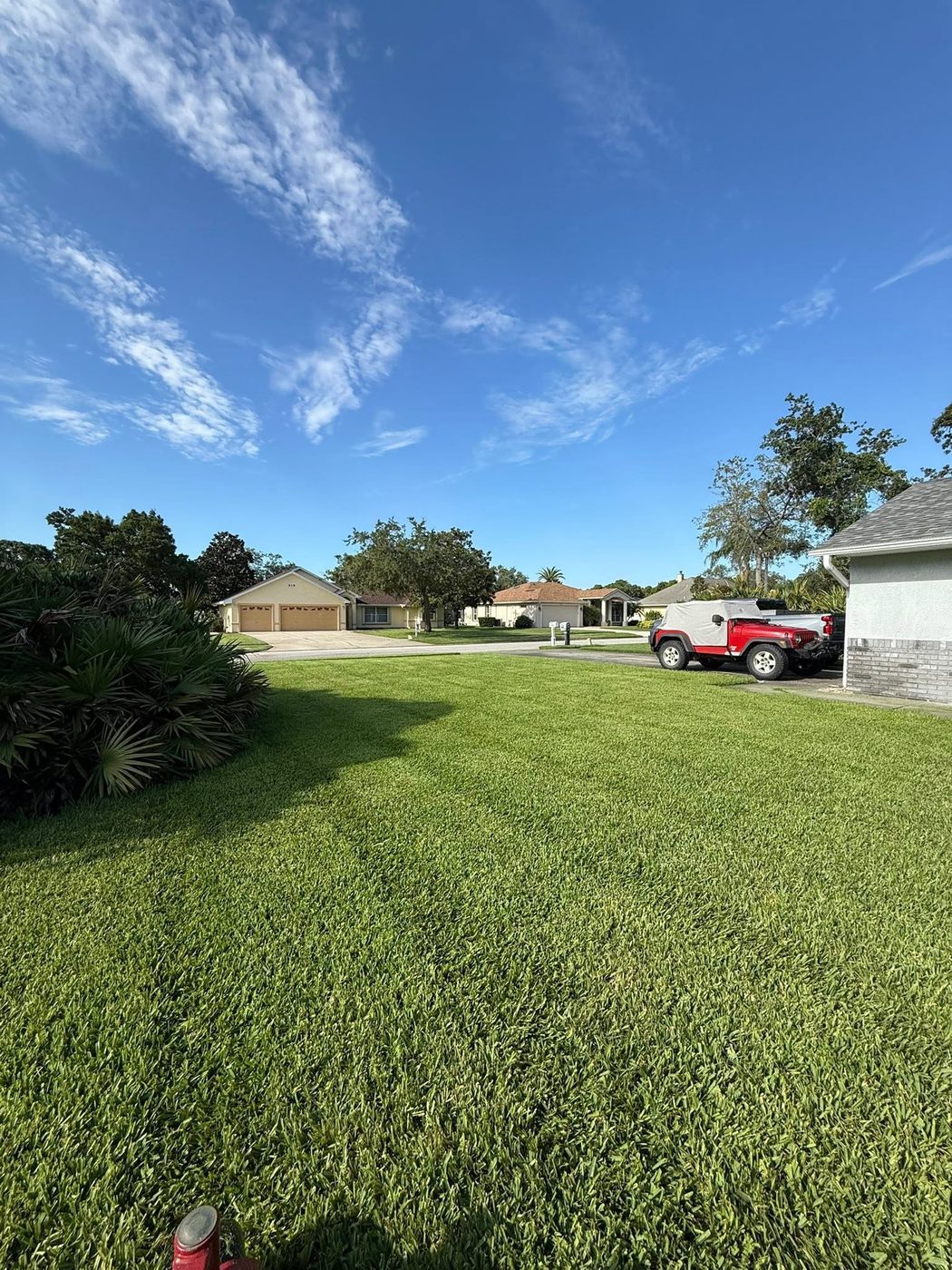 Freshly striped mowed lawn