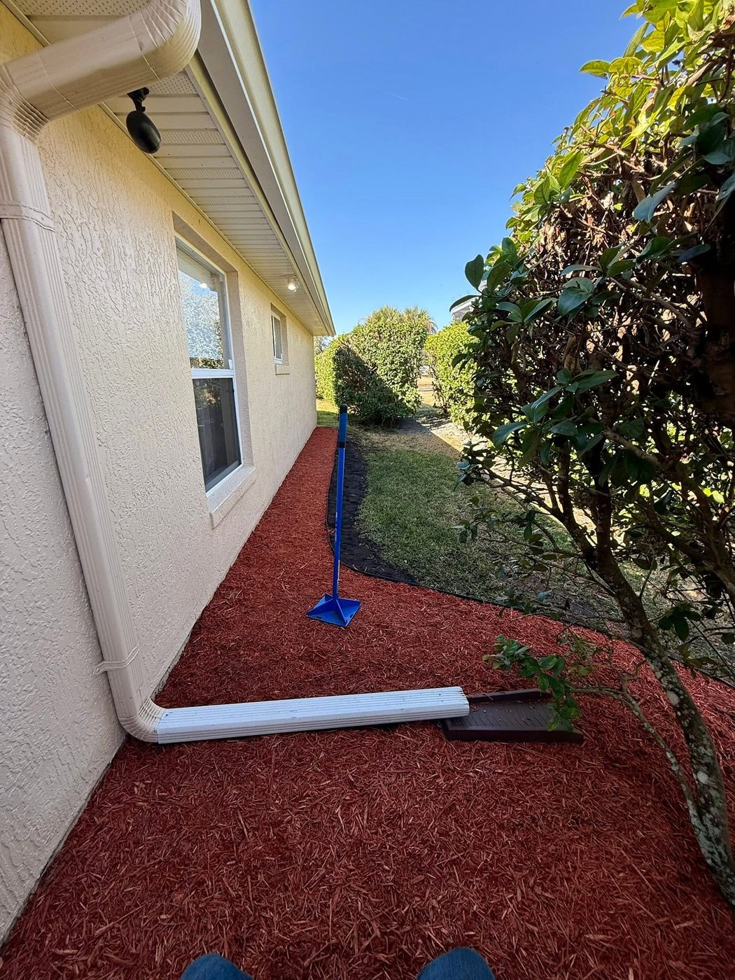 Trimmed hedges along a property line