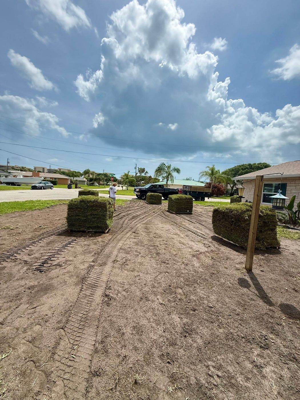 Residential yard landscaping transformation