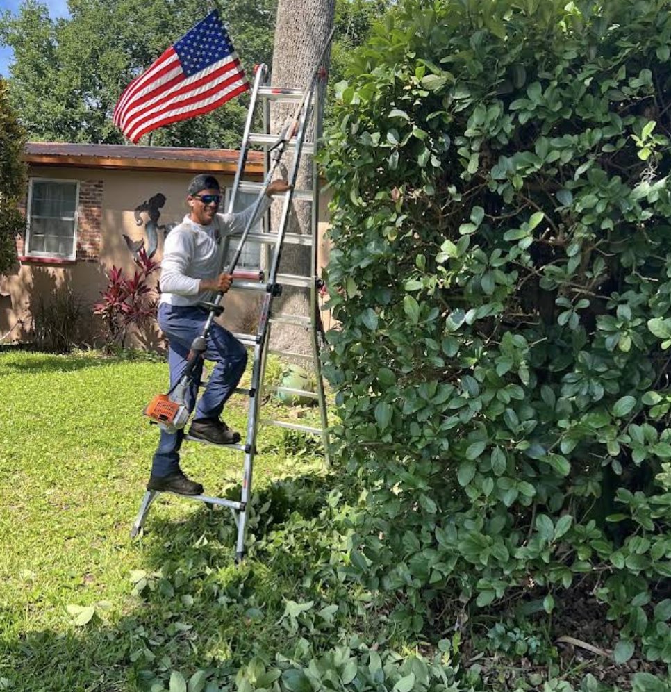 Logan, owner of Logan's Lawn & Landscaping LLC, trimming hedges on a ladder